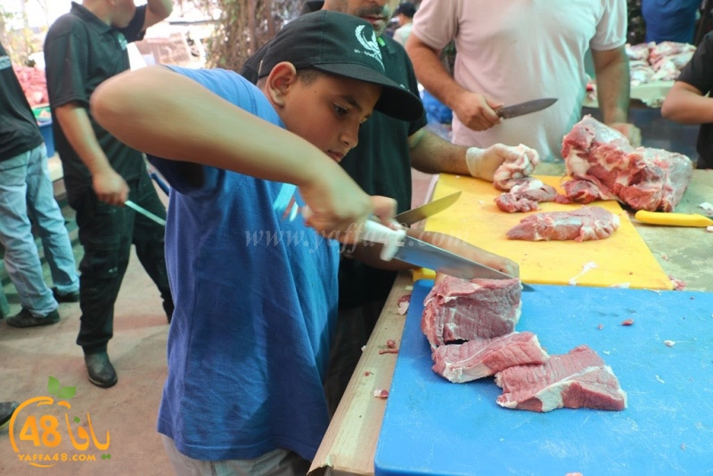 lod8om ada73y (105).JPG